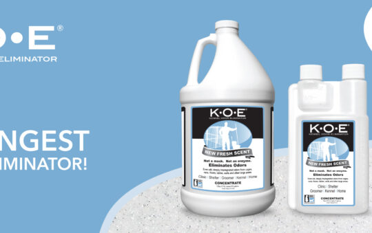 Best Pet Odor Eliminators for a Fresh-Smelling Home in 2025