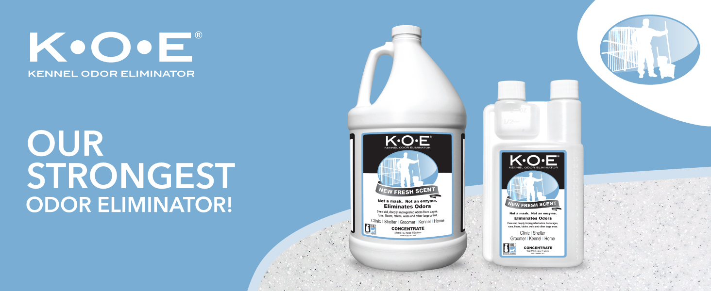Best Pet Odor Eliminators for a Fresh-Smelling Home in 2025