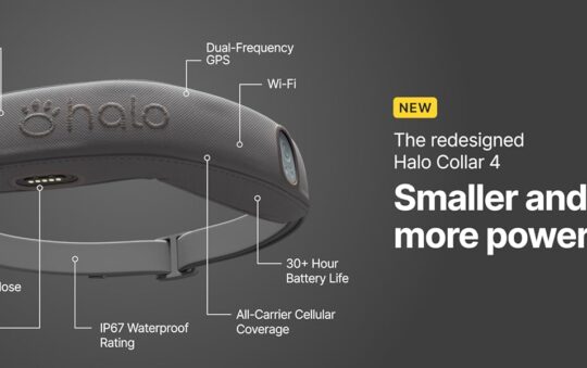 Best GPS Dog Fences of 2025: 6 Systems for Modern Pet Owners