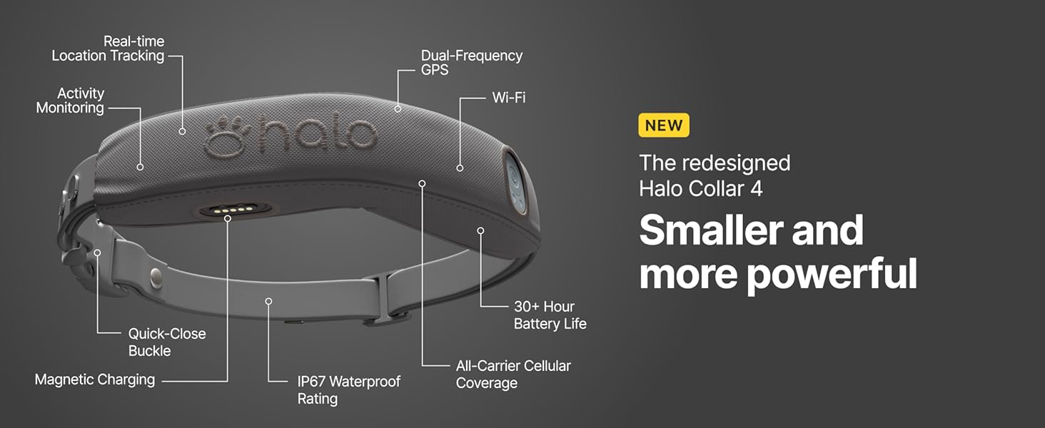 Best GPS Dog Fences of 2025: 6 Systems for Modern Pet Owners