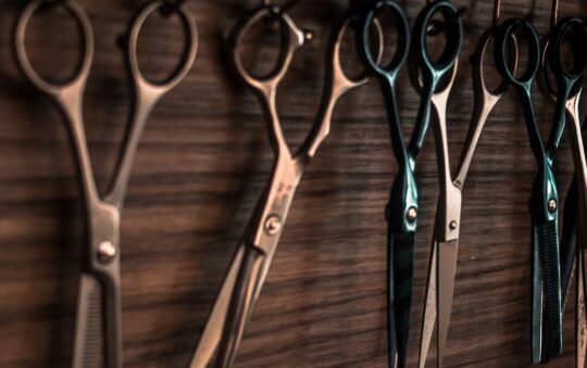 Best Grooming Kit for Doodles: Top Tools Every Doodle Owner Needs for Easy At-Home Grooming