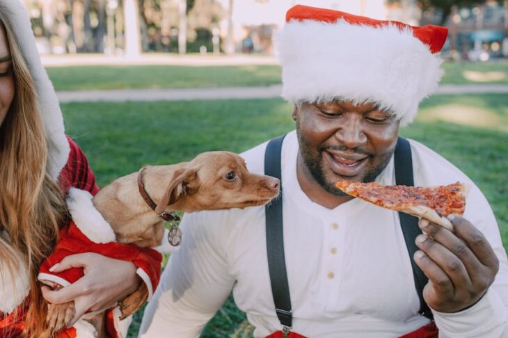 Balanced Life Dog Food: Real Ingredients & Healthier Meals for Happy, Energetic Dogs