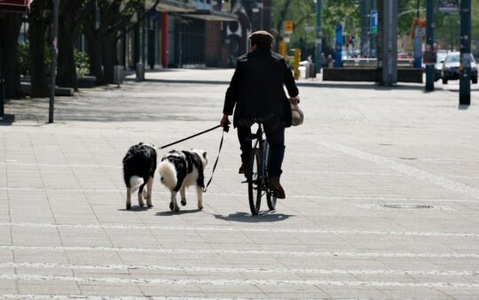 Chicken Back for Dogs: Benefits, Risks, and Feeding Tips Every Pet Owner Should Know