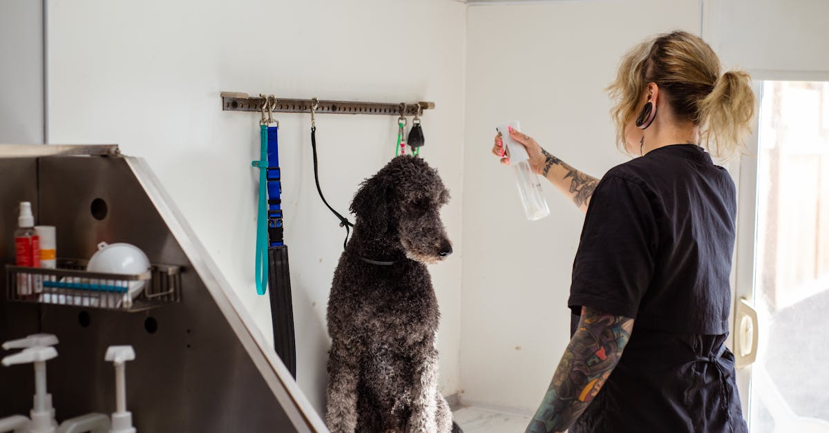 Bacon Spray for Dogs: The Secret to Getting Picky Eaters Excited About Mealtime