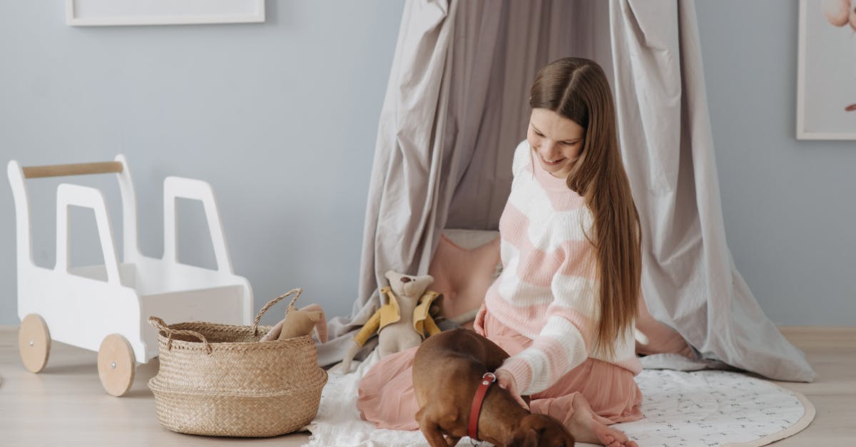 Best Dachshund Chew Toys: Top Picks and Tips for Durable, Safe, and Fun Playtime