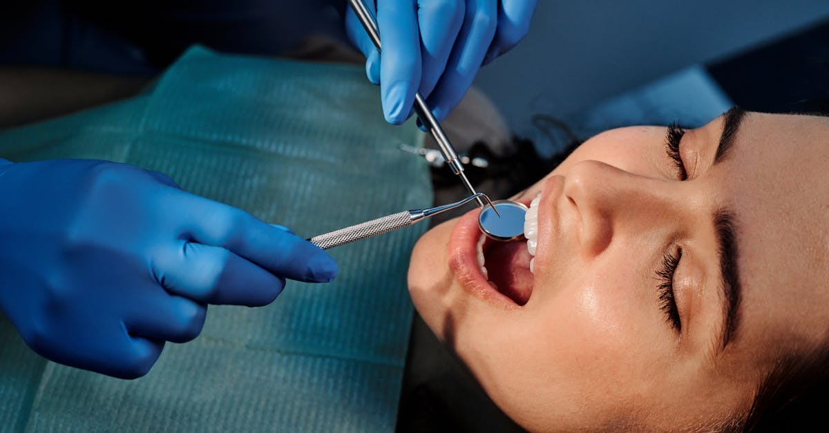 Are Bully Sticks Good for Teeth Cleaning? Honest Answers for Dog Owners