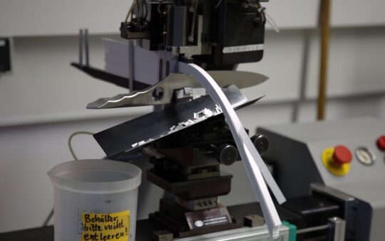 Best Products for Corgis: Top-Rated Essentials to Keep Your Corgi Happy, Healthy, and Active