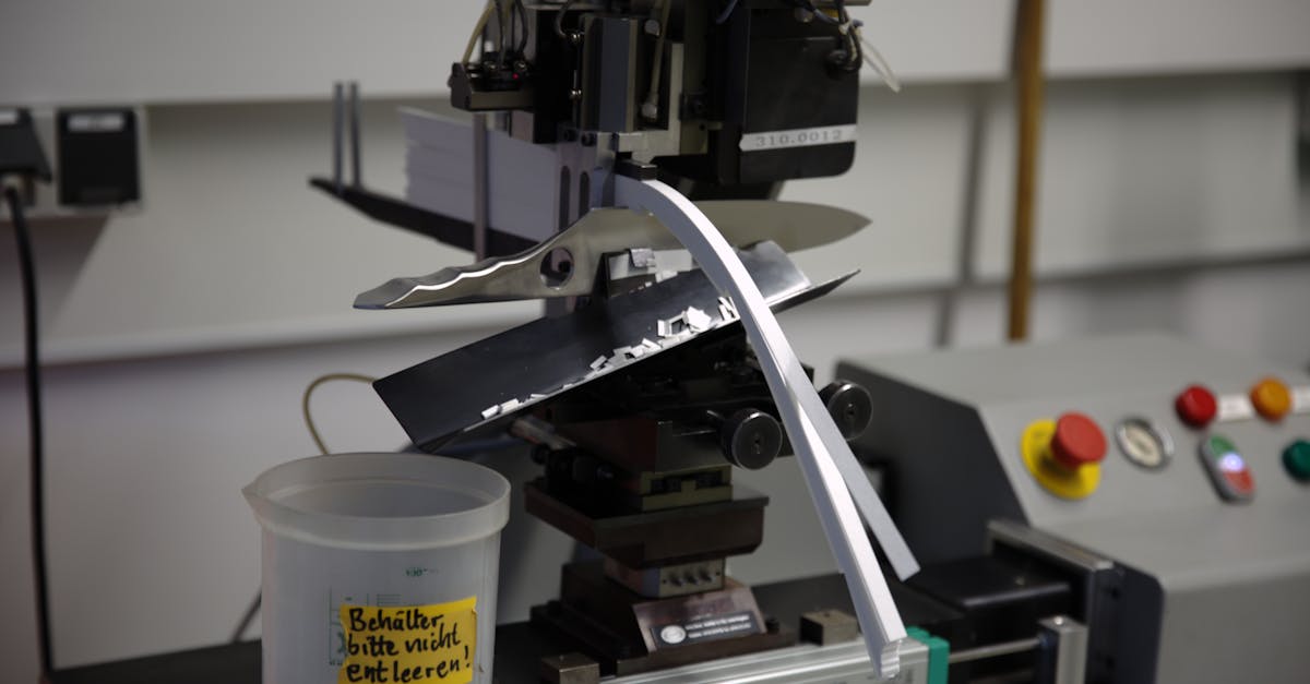 Best Products for Corgis: Top-Rated Essentials to Keep Your Corgi Happy, Healthy, and Active