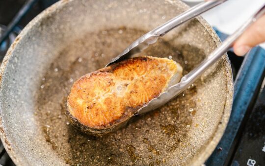 Does Salmon Oil Help With Shedding? Real Pet Owner Results, Science, and Tips