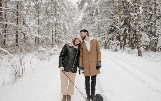 Best Coats for Dog Walking: Stay Warm, Dry, and Comfortable on Every Walk