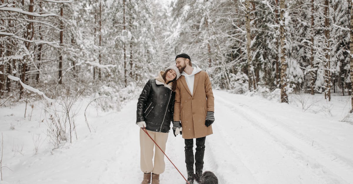 Best Coats for Dog Walking: Stay Warm, Dry, and Comfortable on Every Walk