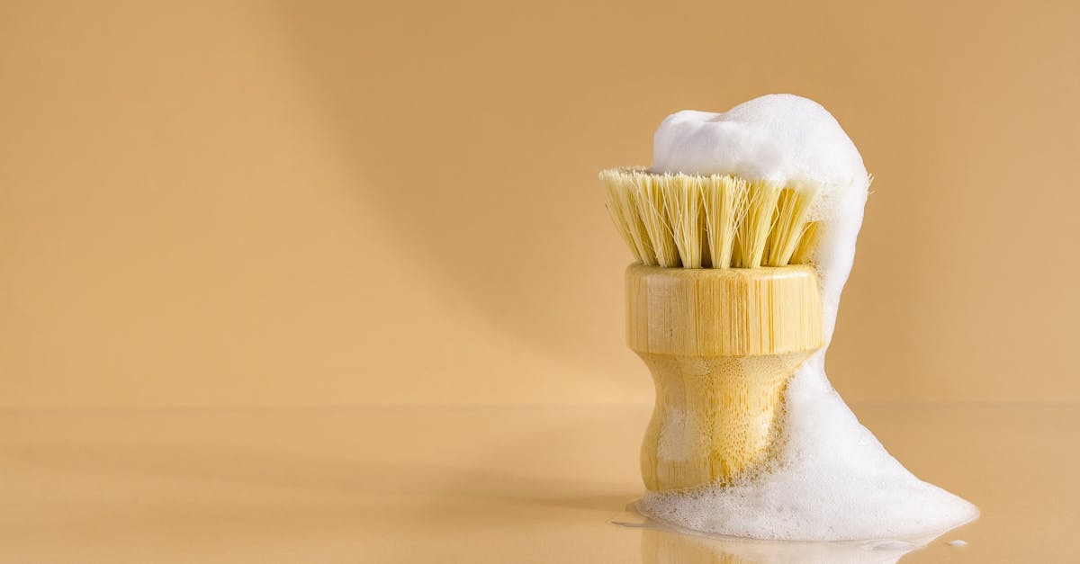 Brush with Wooden Bristles: Gentle Detangling, Less Breakage, and Eco-Friendly Hair Care