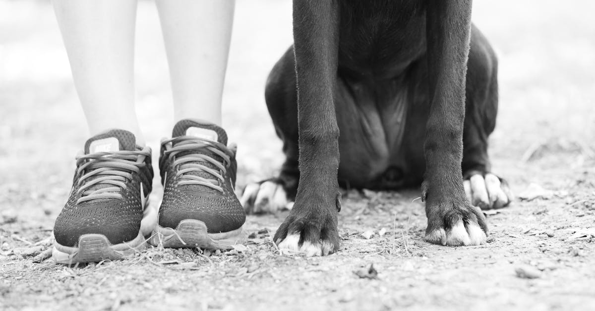 Chicken Feet Raw for Dogs: Benefits, Risks, and Tips for Safe, Healthy Chewing