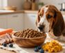 10 Best Dog Foods for Basset Hounds in 2026 (Tail-Wagging Picks)