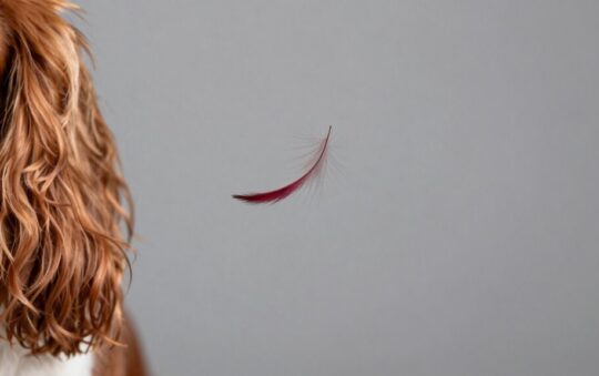 Do Cavalier King Charles Dogs Shed?