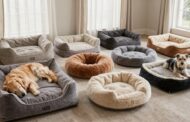 10 Best Dog Beds for 2026: Comfort & Support for Senior Dogs